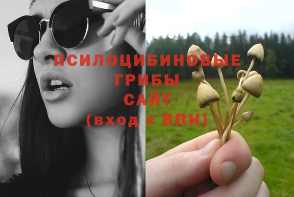 ешки Аркадак