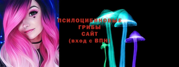 ешки Аркадак