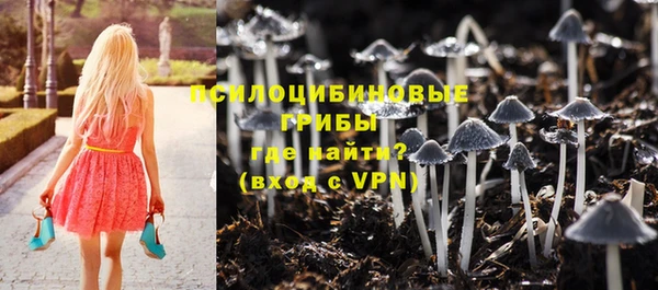 эйфоретик Армянск