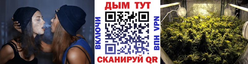 Каннабис план  купить наркотик  Лаишево 